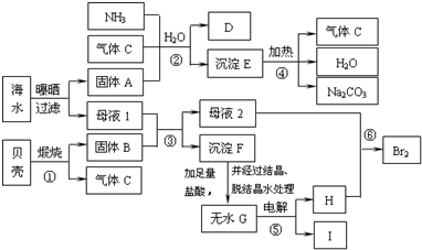 纸类加工，从原材料到多样化产品的转化过程