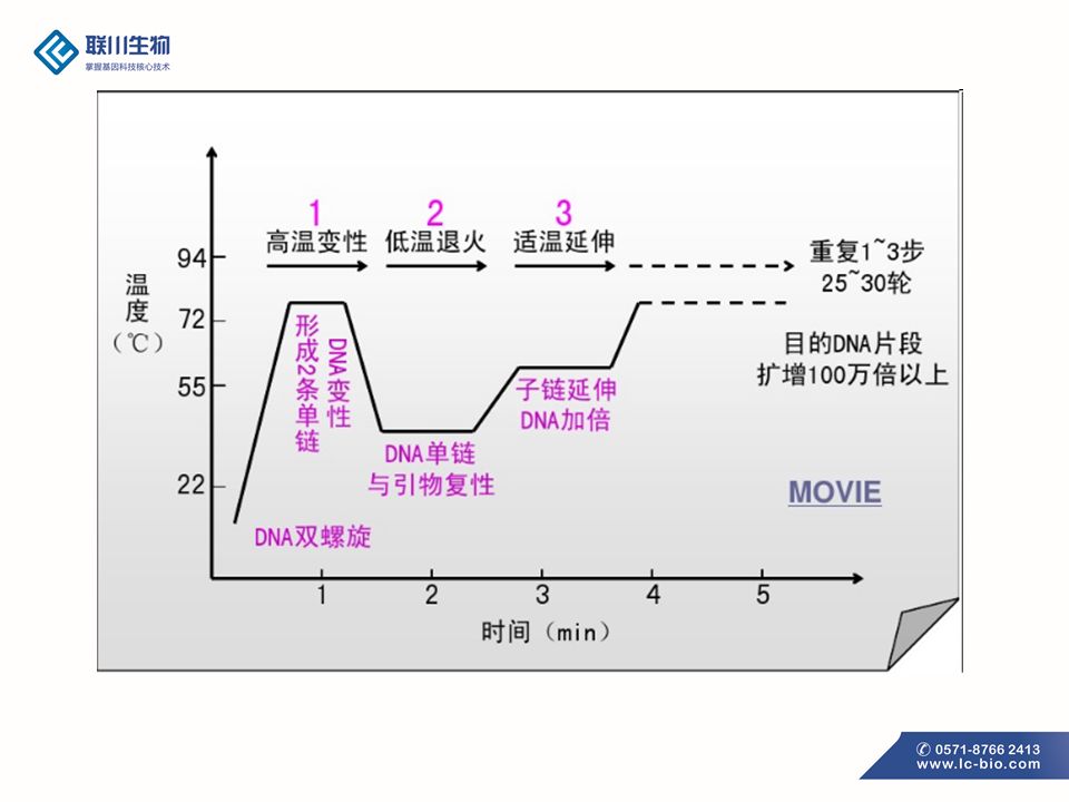 pcr扩增仪器